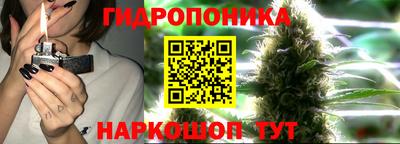 Альфа ПВП Краснокаменск
