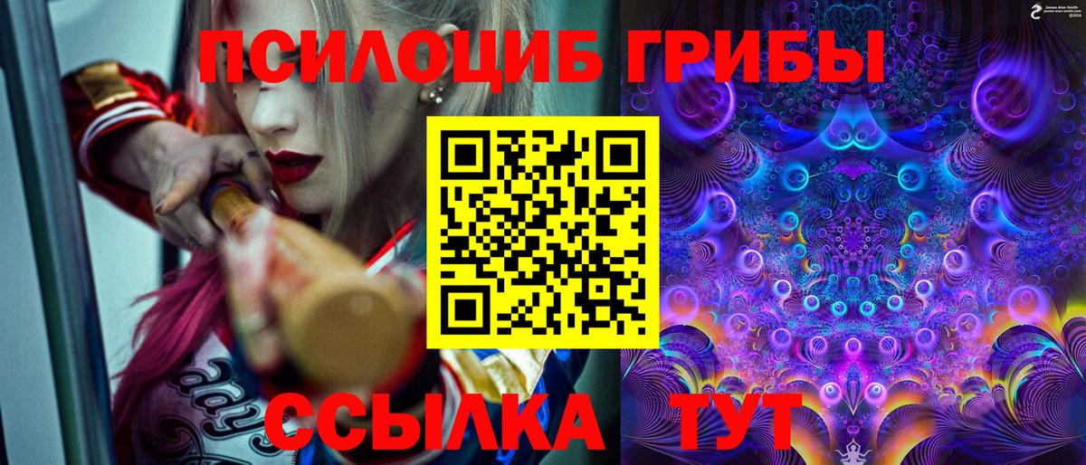 Галлюциногенные грибы прущие грибы  Вход с VPN  Псилоцибиновые грибы Magic Shrooms  Зеленогорск 