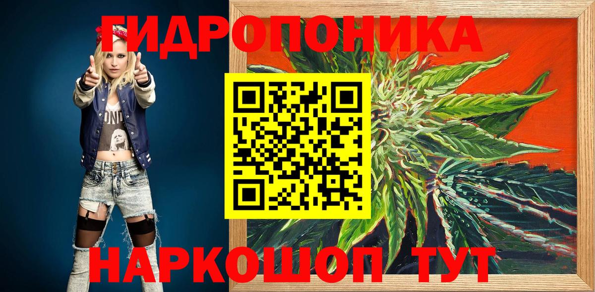 Канабис конопля  Бошки марихуана семена  Зеленогорск  Бошки Шишки Ganja  Вход с VPN 
